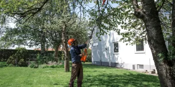 20iTK4-PH, Фиксед