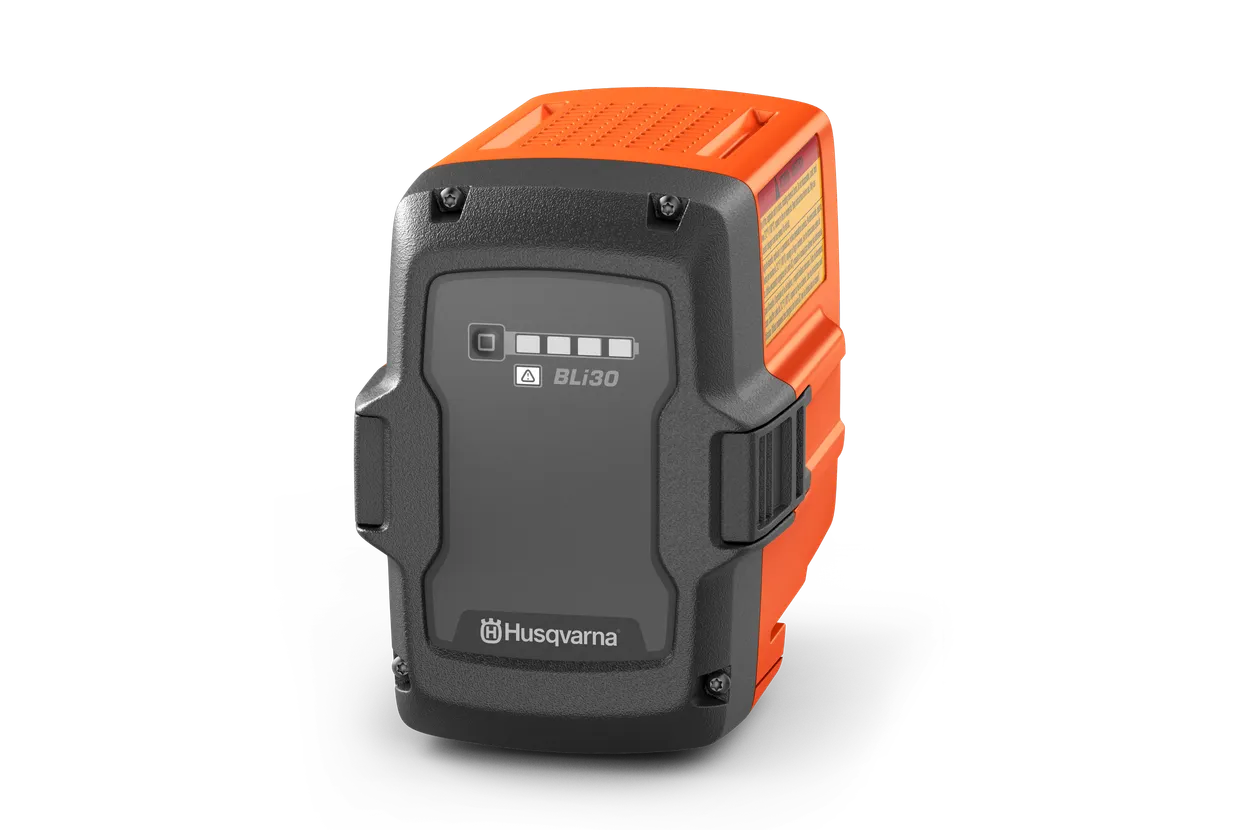 BLi30, Фиксед BLi30, Фиксед